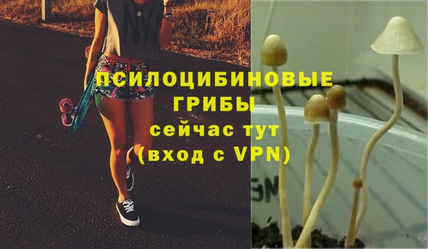 экстази Медногорск