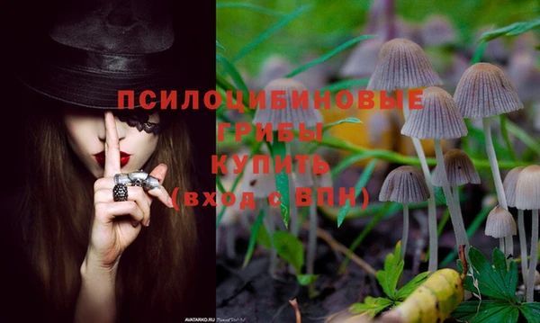экстази Медногорск